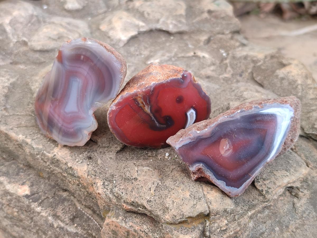Polished Red Shashe River Agate Nodules x 48 From Shashe River, Zimbabwe
