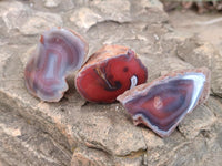 Polished Red Shashe River Agate Nodules x 48 From Shashe River, Zimbabwe