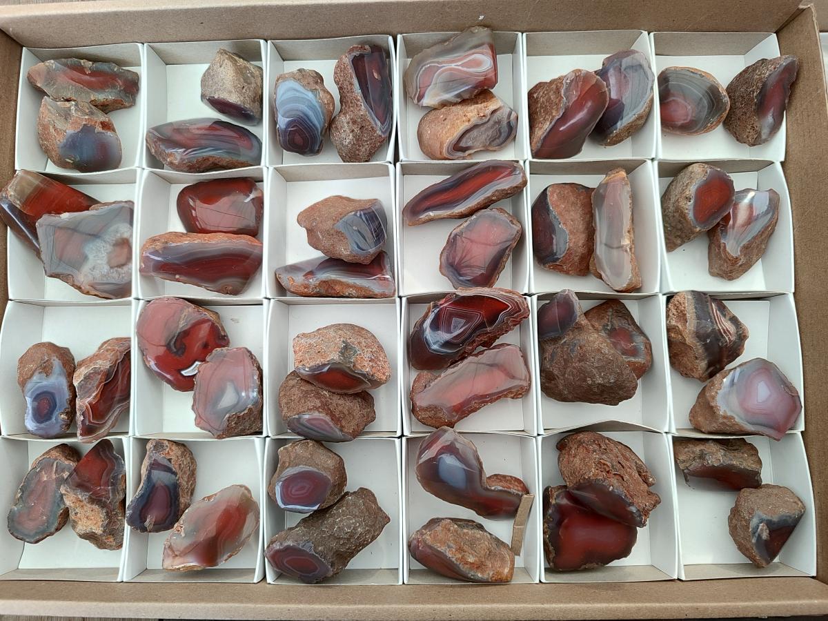 Polished Red Shashe River Agate Nodules x 48 From Shashe River, Zimbabwe