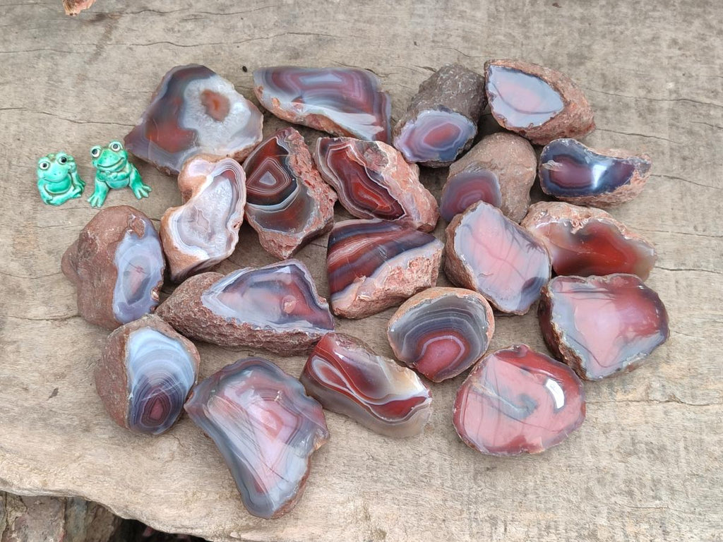 Polished Red Shashe River Agate Nodules x 48 From Shashe River, Zimbabwe
