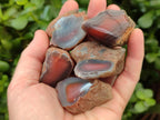 Polished Red Shashe River Agate Nodules x 48 From Shashe River, Zimbabwe