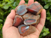 Polished Red Shashe River Agate Nodules x 48 From Shashe River, Zimbabwe