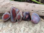 Polished Red Shashe River Agate Nodules x 48 From Shashe River, Zimbabwe