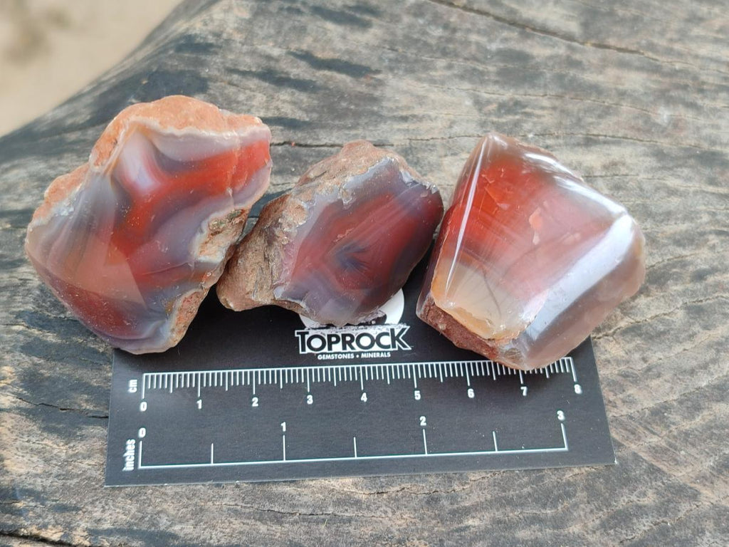 Polished Red Shashe River Agate Nodules x 48 From Shashe River, Zimbabwe