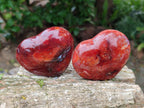 Polished Carnelian Agate Gemstone Hearts x 6 From Madagascar - Toprock Gemstones and Minerals 