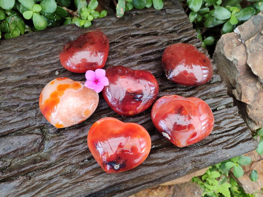 Polished Carnelian Agate Gemstone Hearts x 6 From Madagascar - Toprock Gemstones and Minerals 