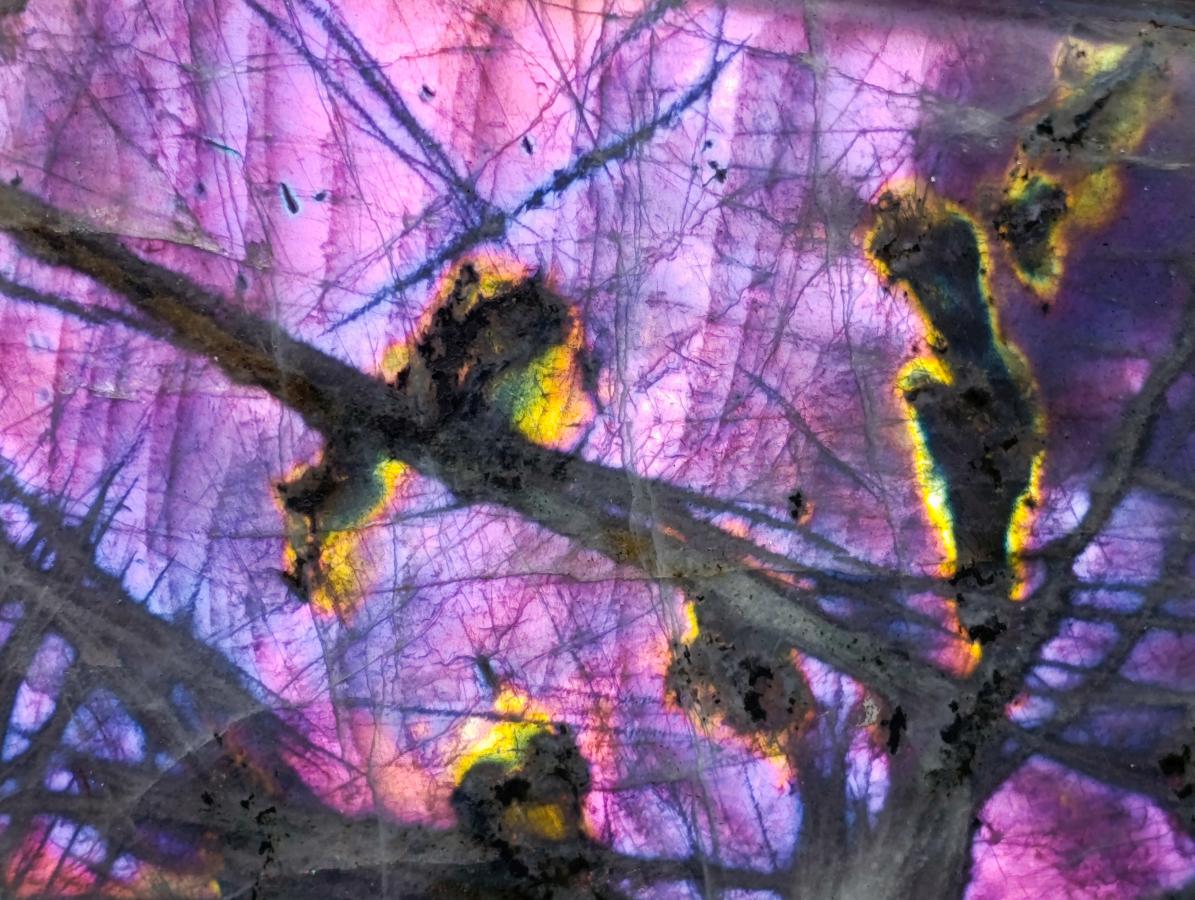 Polished XL Rare Purple Sunset Flash Labradorite Standing Free Form x 1 From Madagascar