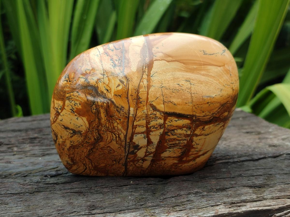 Polished Picture Stone Jasper Standing Free Forms x 3 From Ais-Ais, Namibia