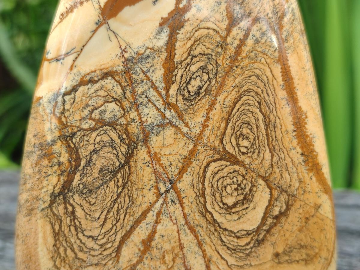 Polished Picture Stone Jasper Standing Free Forms x 3 From Ais-Ais, Namibia