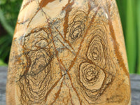 Polished Picture Stone Jasper Standing Free Forms x 3 From Ais-Ais, Namibia