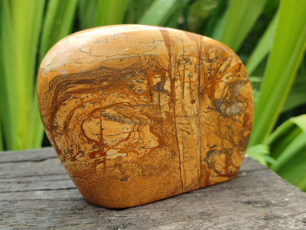 Polished Picture Stone Jasper Standing Free Forms x 3 From Ais-Ais, Namibia