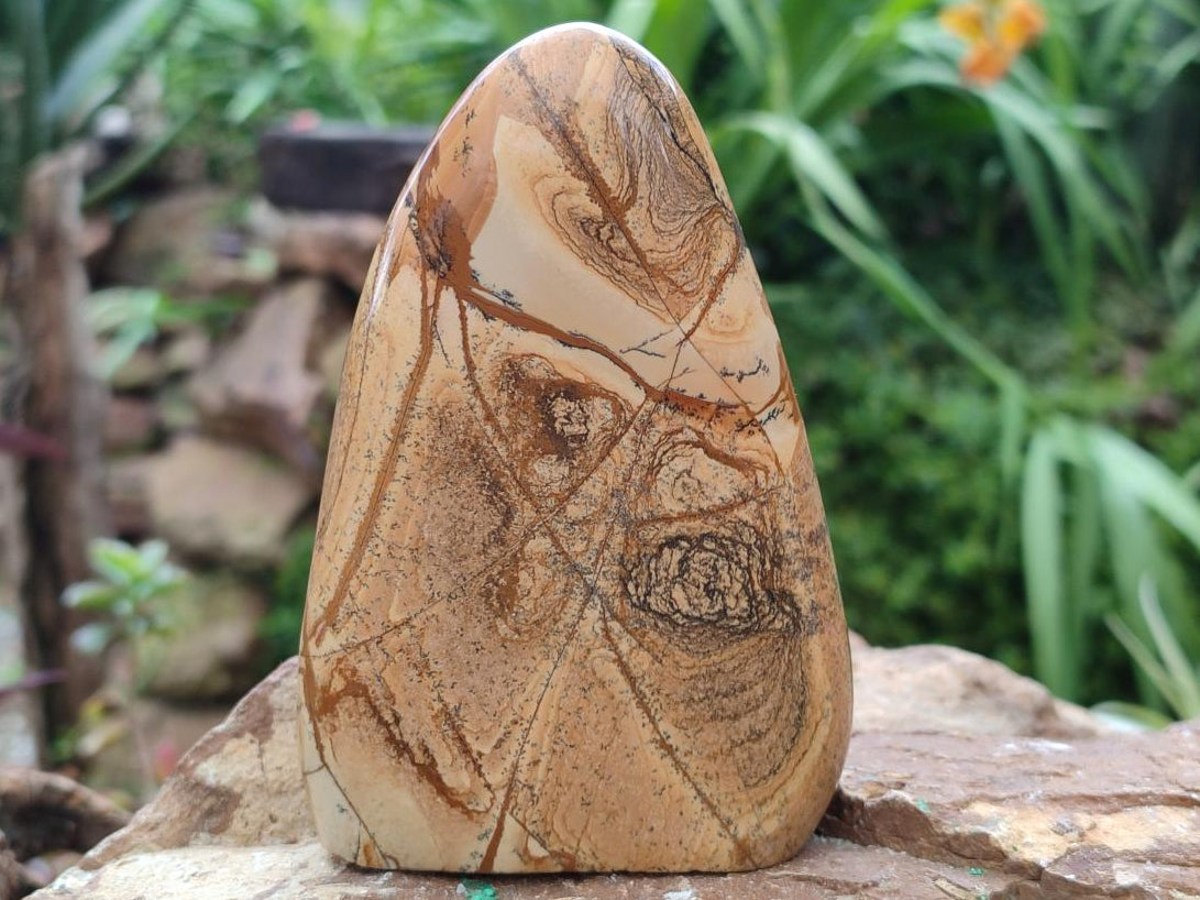 Polished Picture Stone Jasper Standing Free Forms x 3 From Ais-Ais, Namibia