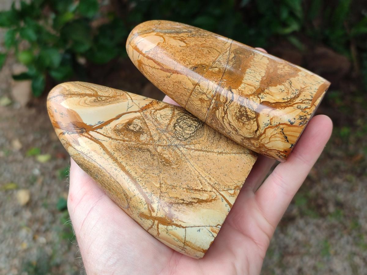 Polished Picture Stone Jasper Standing Free Forms x 3 From Ais-Ais, Namibia