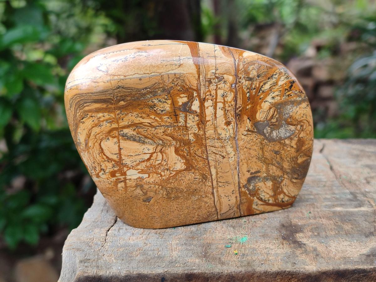 Polished Picture Stone Jasper Standing Free Forms x 3 From Ais-Ais, Namibia