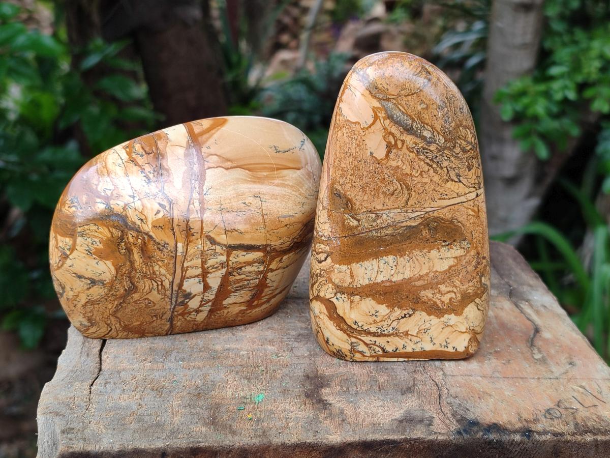 Polished Picture Stone Jasper Standing Free Forms x 3 From Ais-Ais, Namibia