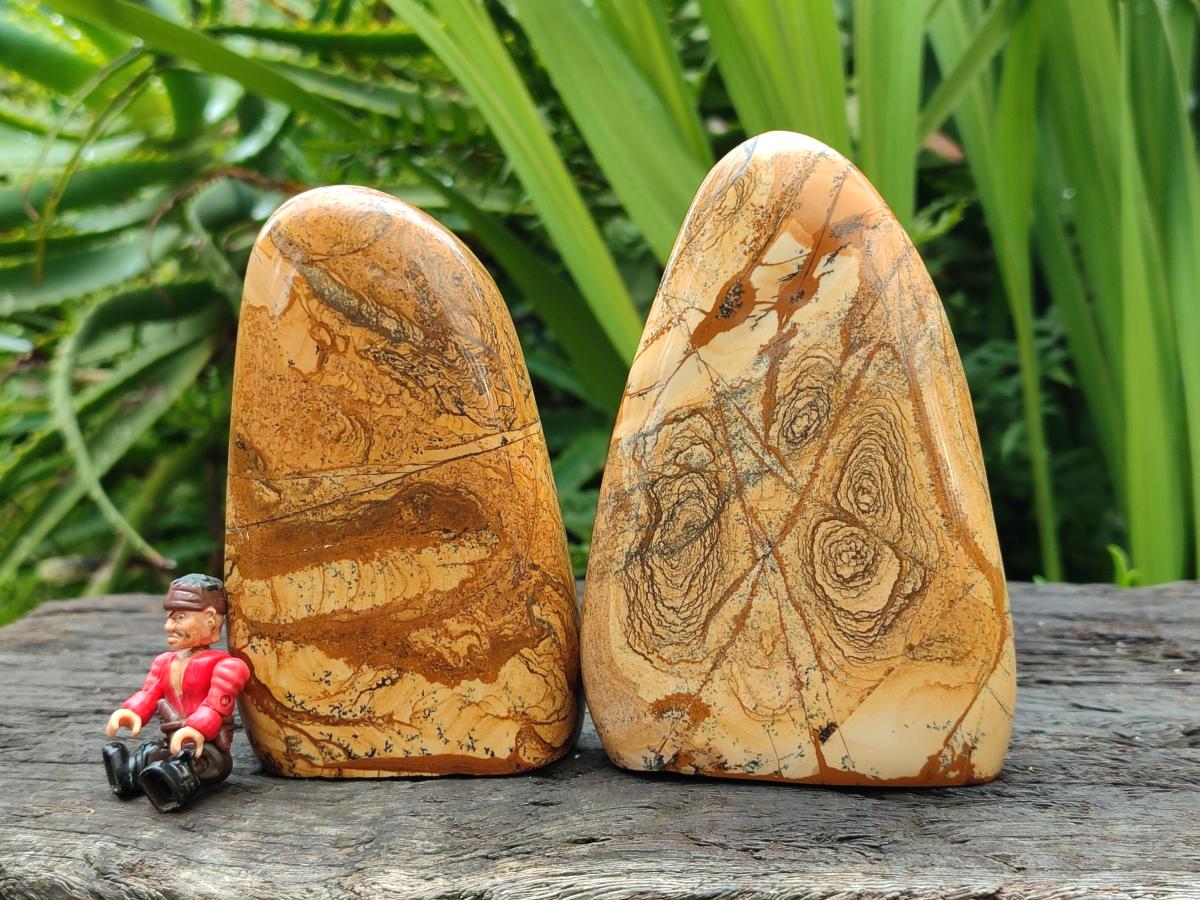 Polished Picture Stone Jasper Standing Free Forms x 3 From Ais-Ais, Namibia