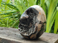 Polished Large Septerye Sauvage "Dragons Egg" Geode x 1 From Mahajanga, Madagascar