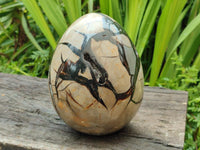 Polished Large Septerye Sauvage "Dragons Egg" Geode x 1 From Mahajanga, Madagascar