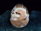 Polished Large Septerye Sauvage "Dragons Egg" Geode x 1 From Mahajanga, Madagascar