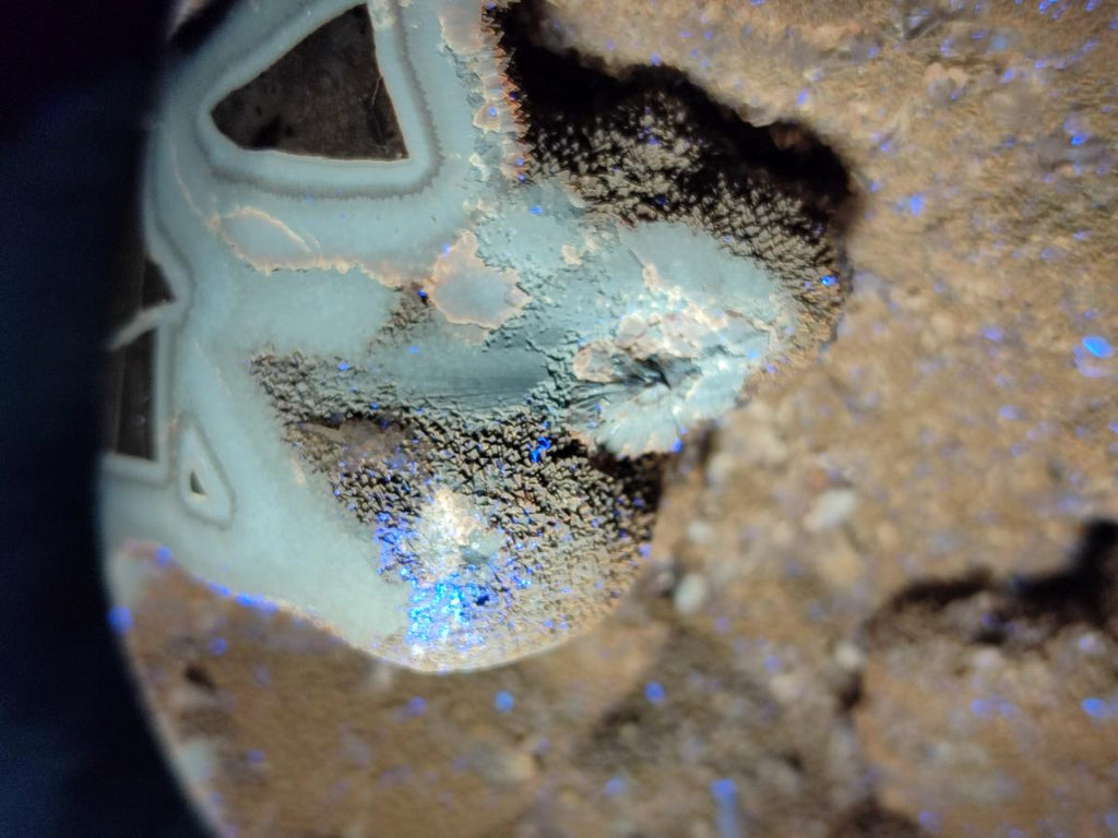 Polished Large Septerye Sauvage "Dragons Egg" Geode x 1 From Mahajanga, Madagascar