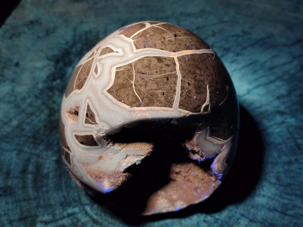 Polished Large Septerye Sauvage "Dragons Egg" Geode x 1 From Mahajanga, Madagascar