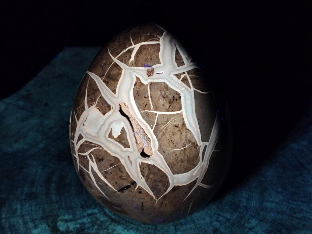 Polished Large Septerye Sauvage "Dragons Egg" Geode x 1 From Mahajanga, Madagascar