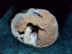 Polished Large Septerye Sauvage "Dragons Egg" Geode x 1 From Mahajanga, Madagascar