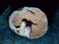 Polished Large Septerye Sauvage "Dragons Egg" Geode x 1 From Mahajanga, Madagascar