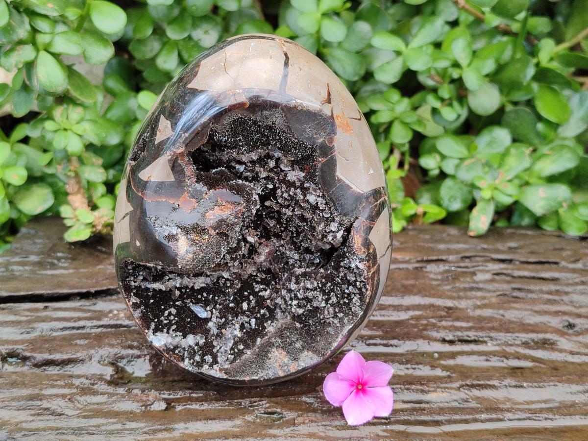 Polished Large Septerye Sauvage "Dragons Egg" Geode x 1 From Mahajanga, Madagascar