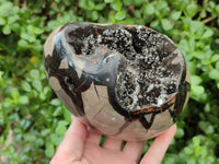 Polished Large Septerye Sauvage "Dragons Egg" Geode x 1 From Mahajanga, Madagascar