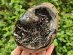 Polished Large Septerye Sauvage "Dragons Egg" Geode x 1 From Mahajanga, Madagascar