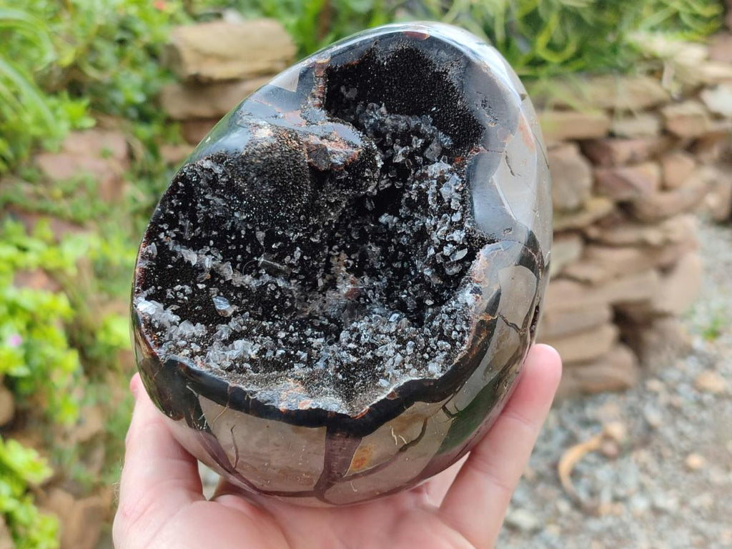 Polished Large Septerye Sauvage "Dragons Egg" Geode x 1 From Mahajanga, Madagascar