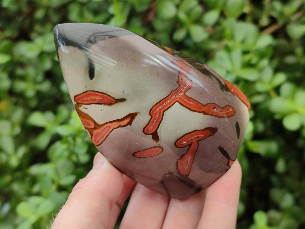 Polished Polychrome Jasper Flames x 6 From NW Coast, Madagascar