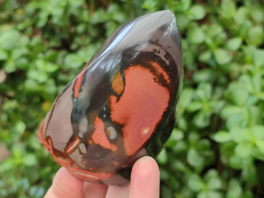 Polished Polychrome Jasper Flames x 6 From NW Coast, Madagascar