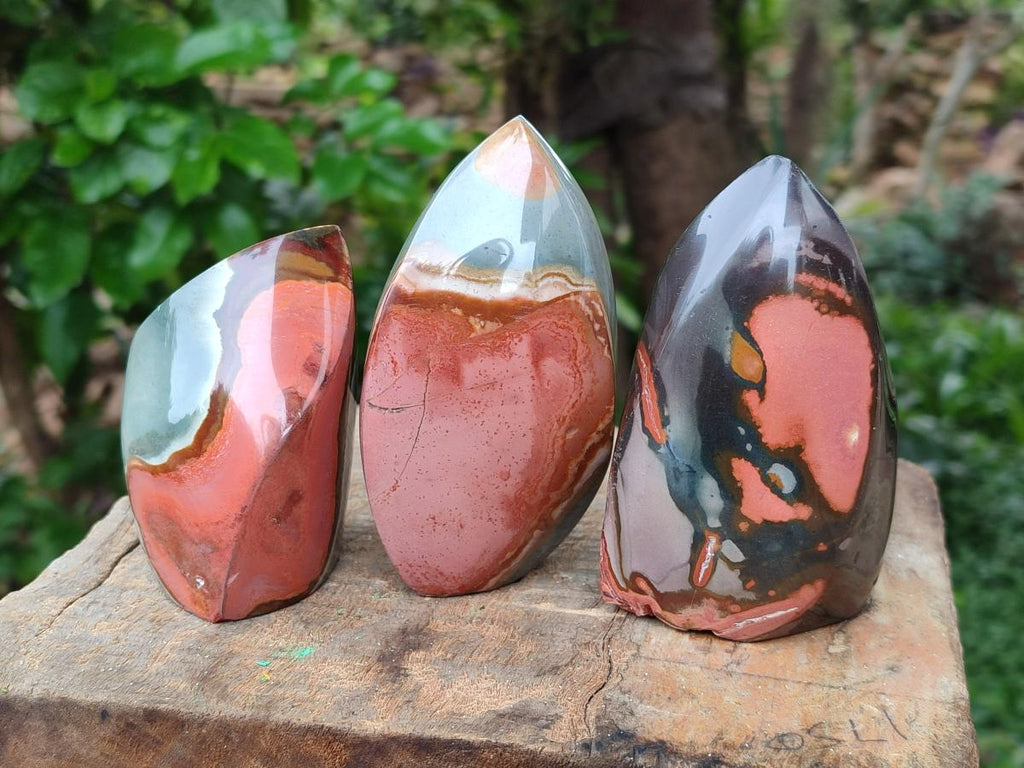 Polished Polychrome Jasper Flames x 6 From NW Coast, Madagascar