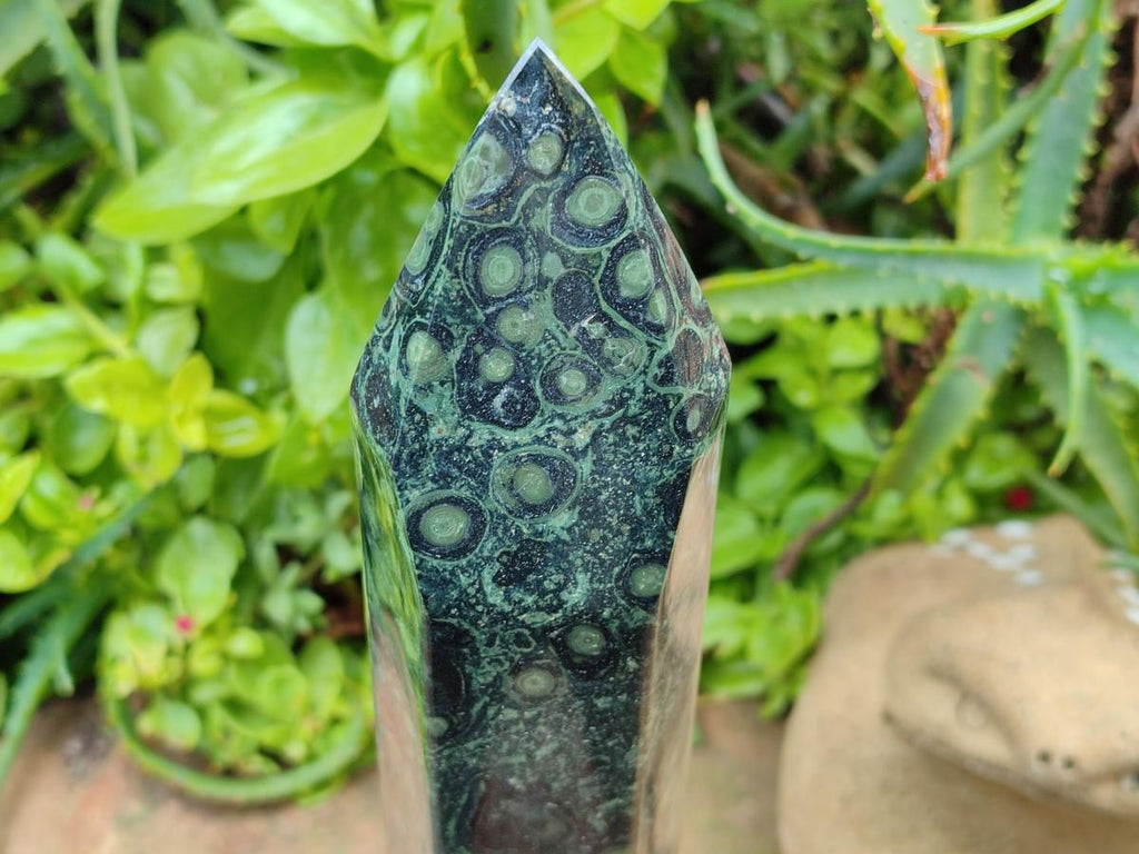 Polished Extra Long Stromatolite Display Tower x 1 From Katsepy, Madagascar