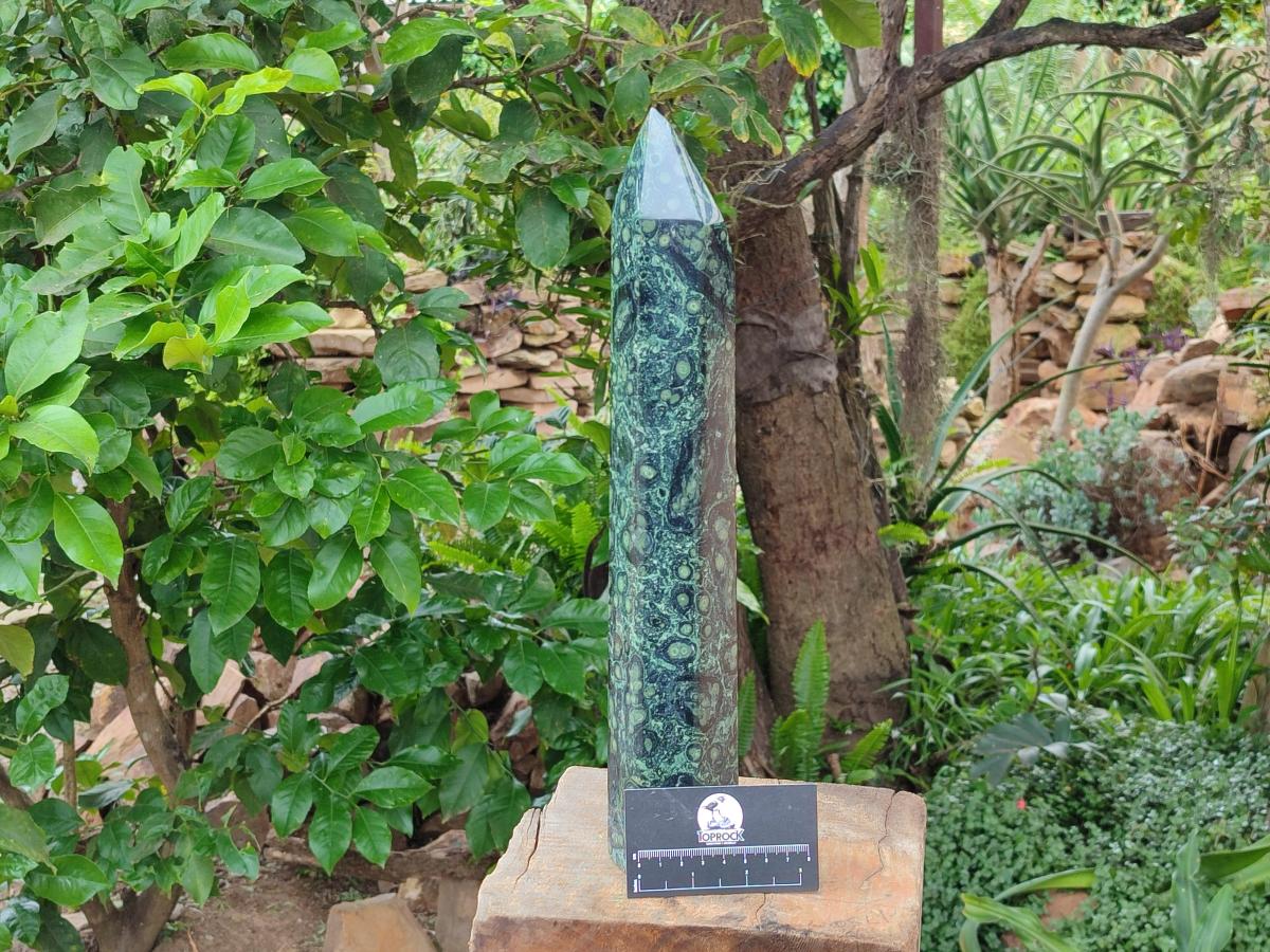 Polished Extra Long Stromatolite Display Tower x 1 From Katsepy, Madagascar