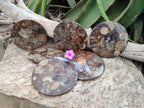 Hand Made Ammonite Conglomerate Coffee Table Coasters x 6 From Mahajanga, Madagascar - Toprock Gemstones and Minerals 