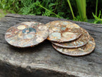 Hand Made Ammonite Conglomerate Coffee Table Coasters x 6 From Mahajanga, Madagascar - Toprock Gemstones and Minerals 