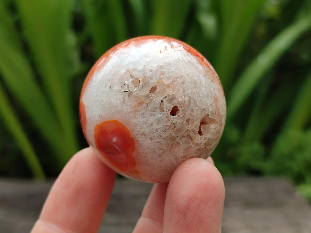 Polished Carnelian Agate Gemstone Spheres x 12 From Madagascar