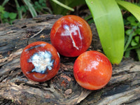 Polished Carnelian Agate Gemstone Spheres x 12 From Madagascar