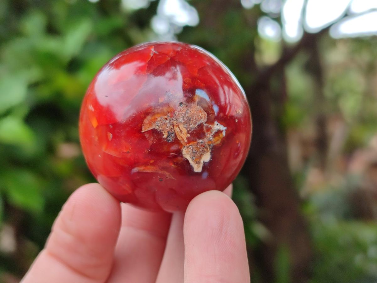 Polished Carnelian Agate Gemstone Spheres x 12 From Madagascar
