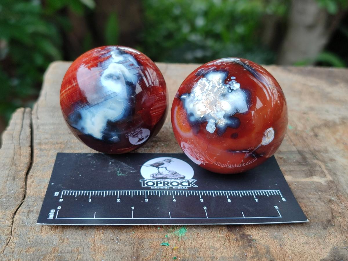 Polished Carnelian Agate Gemstone Spheres x 12 From Madagascar