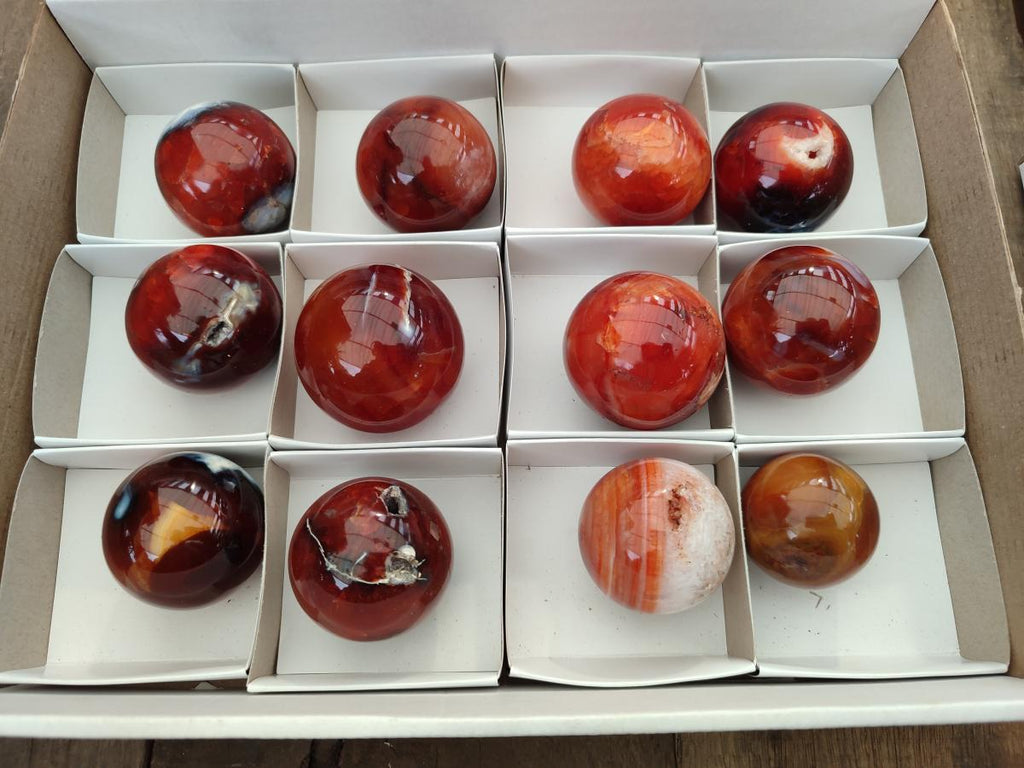 Polished Carnelian Agate Gemstone Spheres x 12 From Madagascar