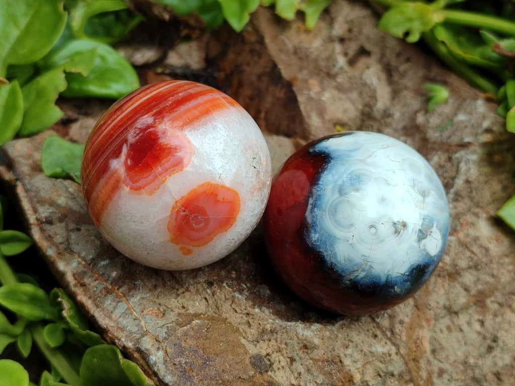 Polished Carnelian Agate Gemstone Spheres x 12 From Madagascar