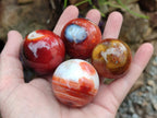 Polished Carnelian Agate Gemstone Spheres x 12 From Madagascar