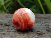 Polished Carnelian Agate Gemstone Spheres x 12 From Madagascar