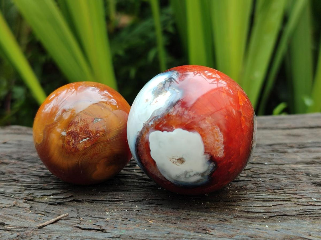 Polished Carnelian Agate Gemstone Spheres x 12 From Madagascar