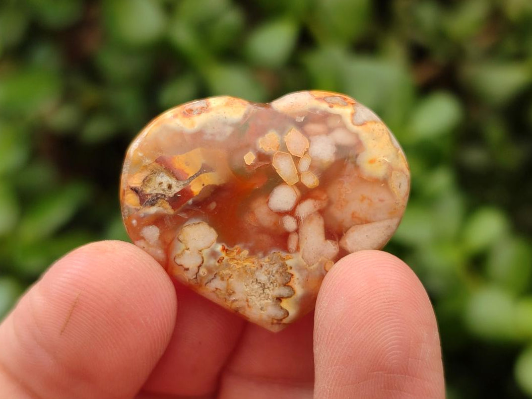 Polished Flower Agate Hearts x 35 From Antsahalova, Madagascar