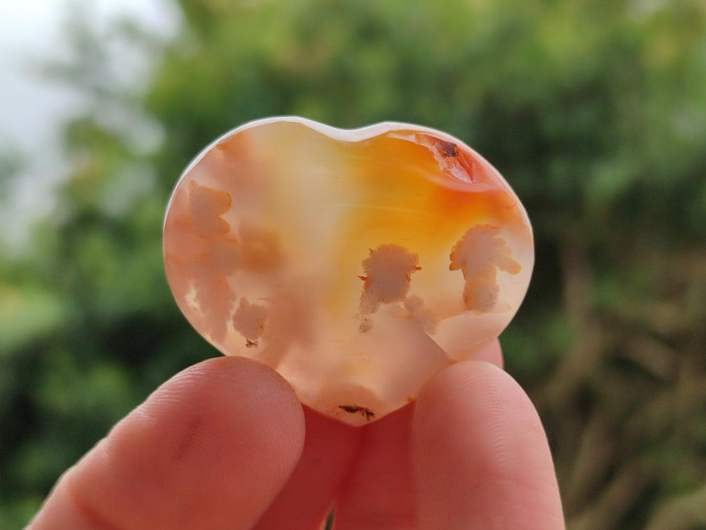 Polished Flower Agate Hearts x 35 From Antsahalova, Madagascar